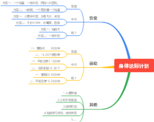 身体达标计划