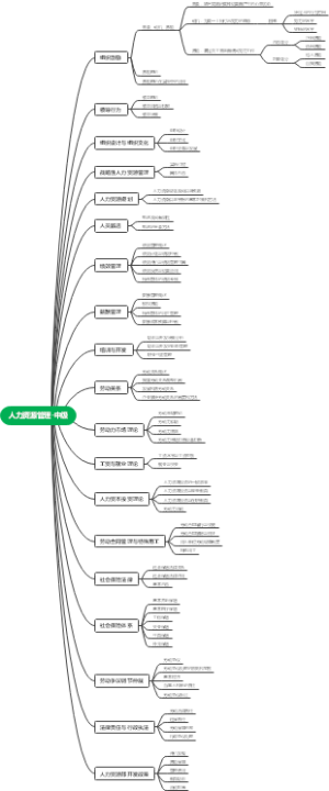 人力资源管理-中级