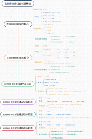 右侧胸骨旁切面长轴切面