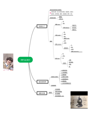 6年级科学
