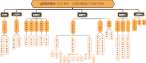 公司组织架构