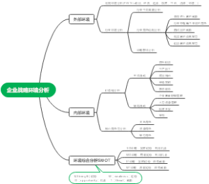 企业战略环境分析