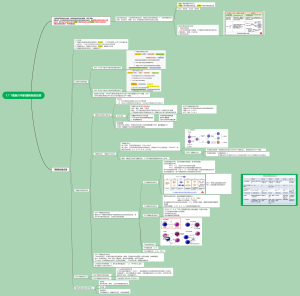 7.1 T细胞介导的细胞免疫应答