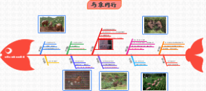 与象同行