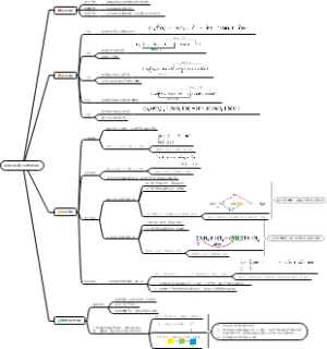 高中化学必修一第一章第三节：氧化还原反应-化学方程的配平