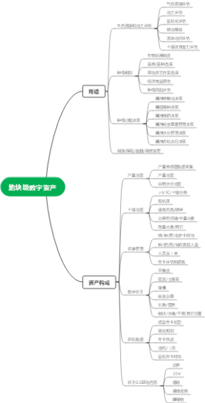 地块级数字资产