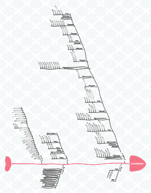 中北大学组织结构