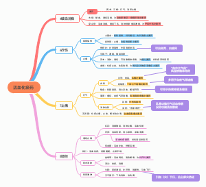 12.活血化瘀药思维导图