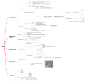 高中生物-神经调节（第二章）