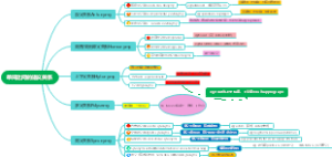 单词之间的语义关系