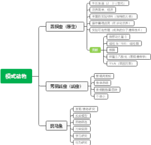 模式动物