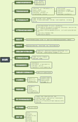 原因类问题