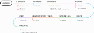 神经系统