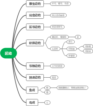 运动器官