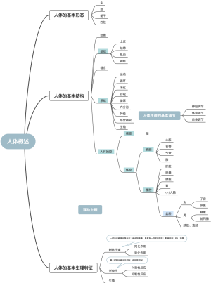 1.1人体概述