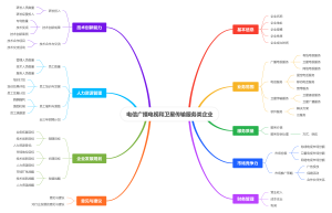 电信广播电视和卫星传输服务类企业