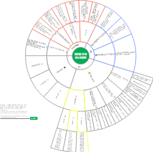 多媒体认知原则