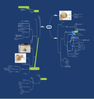 局解第一章头部