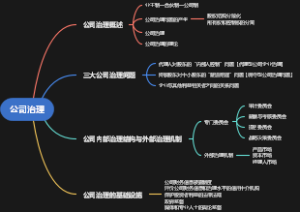 公司治理