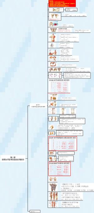 第二章 康复治疗基本技能的应用解剖