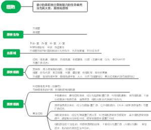 细胞的基本概念