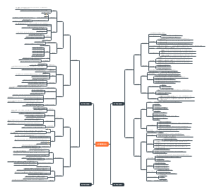 九年级上册道德与法治