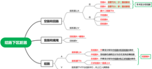 局解——结肠下区脏器