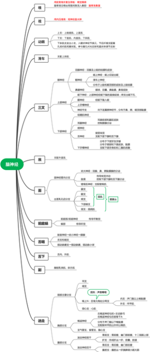 脑神经简略汇总