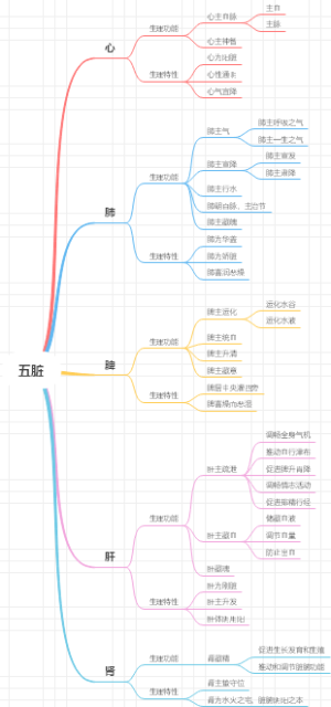 五脏