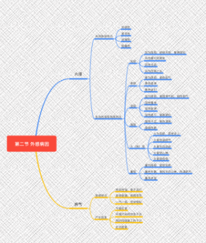外感病因