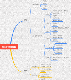 中医基础理论 第二节 外感病因