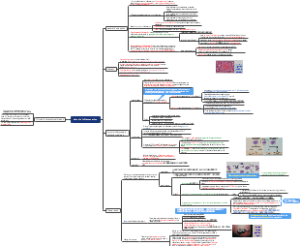 chronic inflammation
