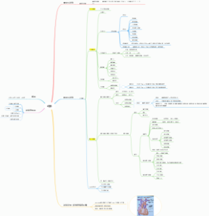 系统解剖学之心血管系统中的动脉