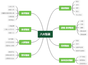 八大智能
