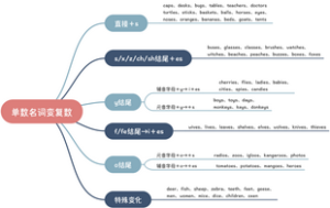 单数名词变复数
