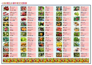 40种常见水果 中英文对照表