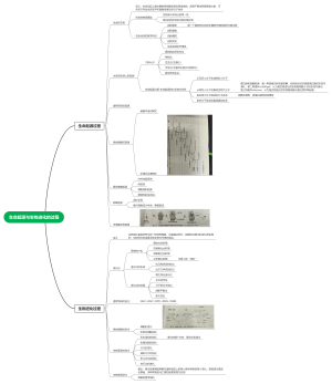 生命起源与生物进化的过程