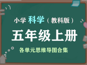 小学科学五年级上册（教科版）各单元知识点合集