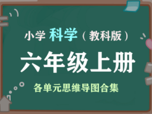 小学科学六年级上册（教科版）各单元知识点合集