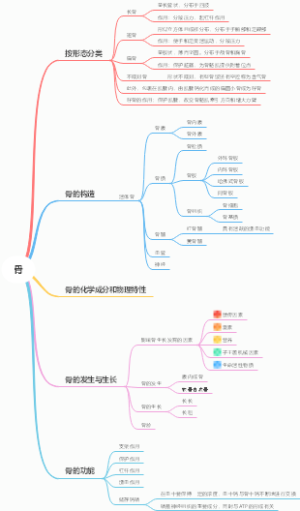 运动解剖学（第三版）