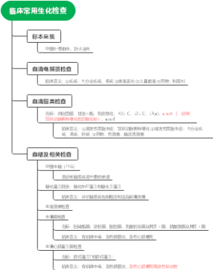 临床常用生化检查