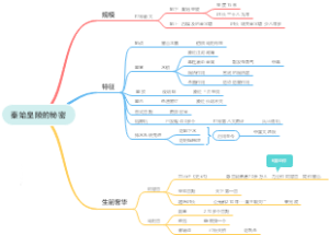 秦始皇陵的秘密