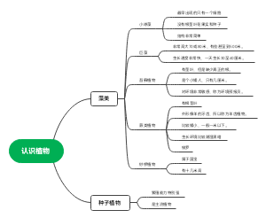 认识植物