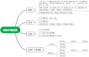 试用中期总结.Document