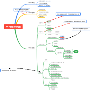 RNA的结构和功能