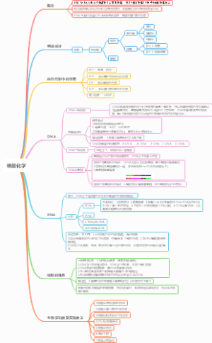 核酸化学