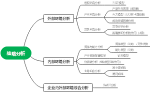 战略分析