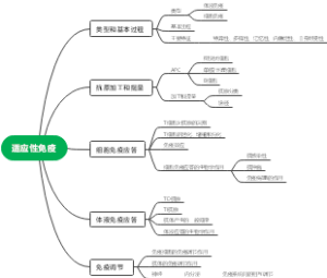适应性免疫