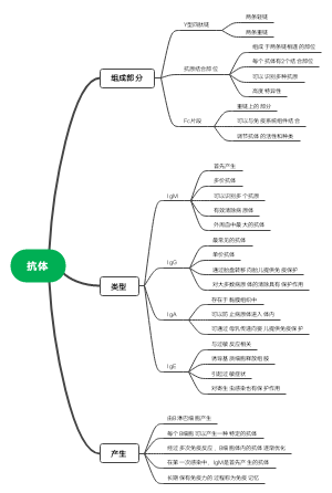 抗体思维导图