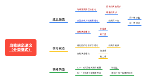 自我决定理论(2)